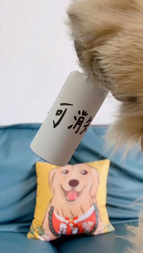 四毛,你也有百密一疏的时候,差点被你混过去..怎么也没想到,四毛居然站在毛妈那一边