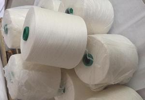 毛腈混纺纱21支 特性、应用与市场前景